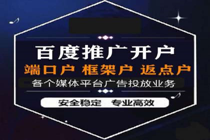 某电商平台的SEM推广策略及效果分析